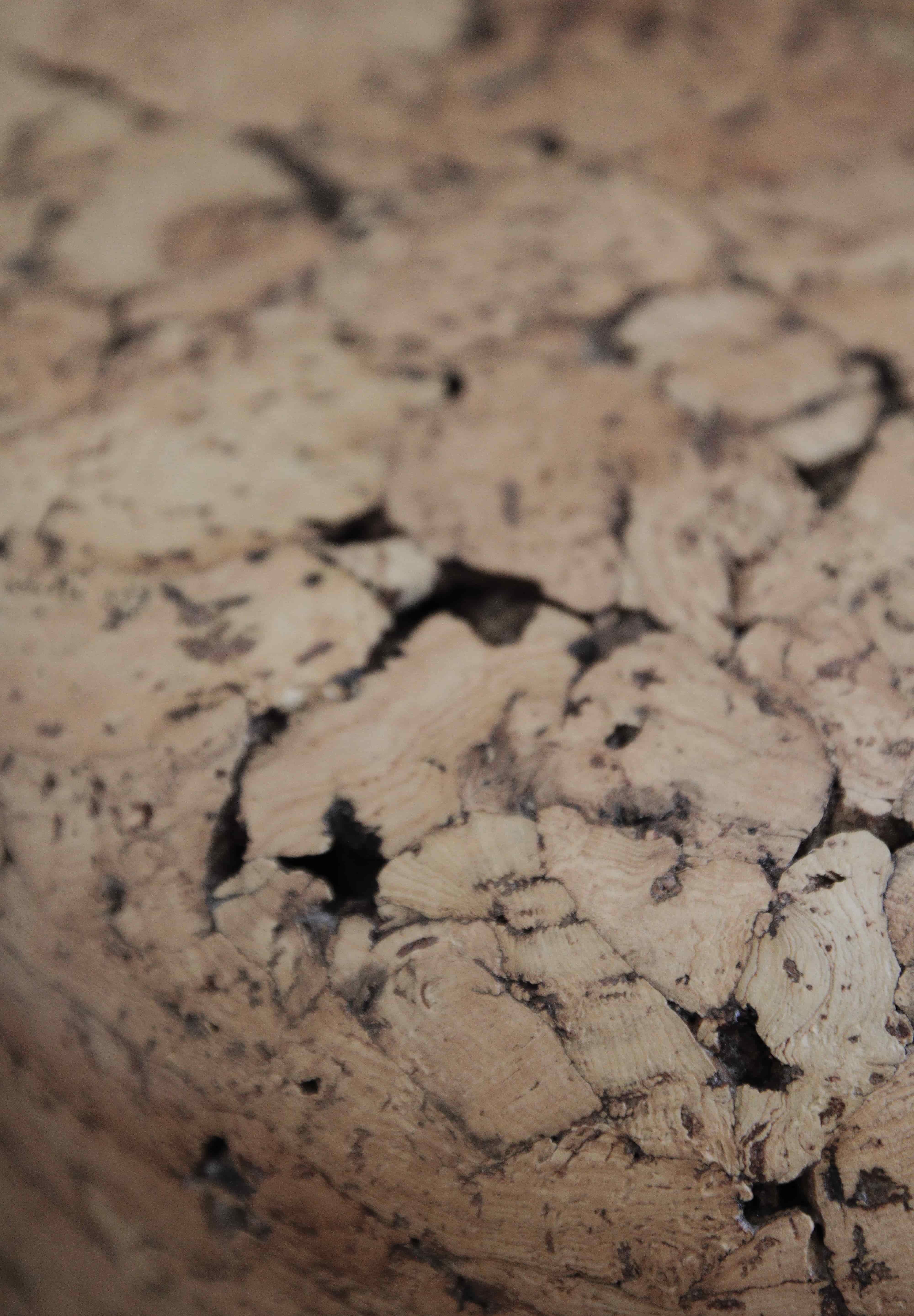 Close-up of Grain cork showing its layered, irregular texture and warm brown tones.