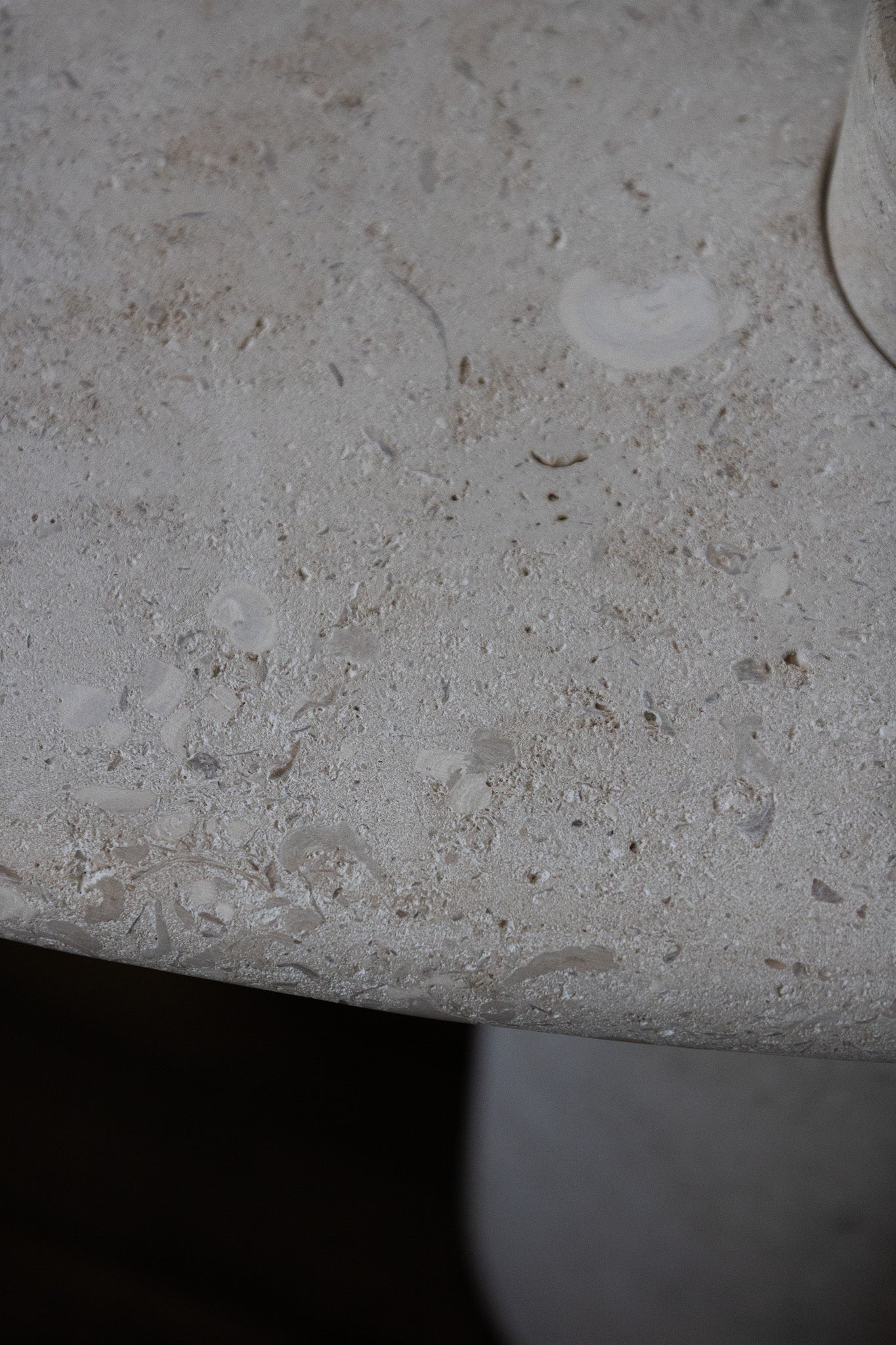 Close-up of the honed Limestone Portland Side Table top, with fossil-like inclusions and subtle grey-beige tonal variation.
