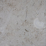 Honed Limestone Portland with a grey-beige base, scattered fossil-like fragments, fine pits and subtle tonal variation.
