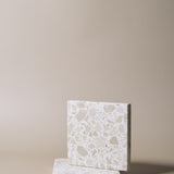 Terrazzo Neutrale